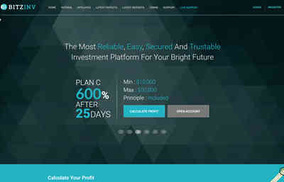 Bitz investment screenshot