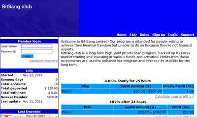 Bit Bang Ltd screenshot