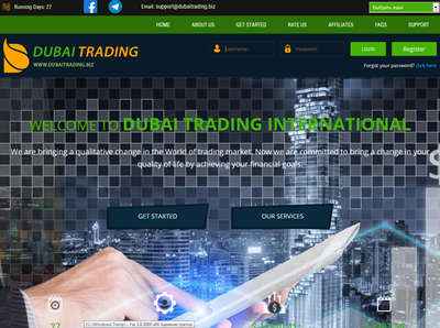 Dubai Trading International screenshot