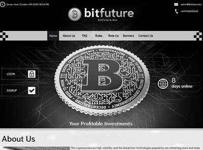 Bitfuture screenshot