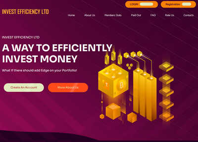 INVEST EFFICIENCY LTD screenshot