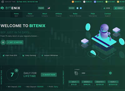 BitEnix LTD screenshot